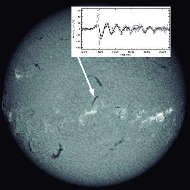 Imagen del Sol tomada por los telescopios de la red GONG en un filtro Hα. Las protuberancias se ven como filamentos oscuros sobre el disco solar. Crédito: IAC
